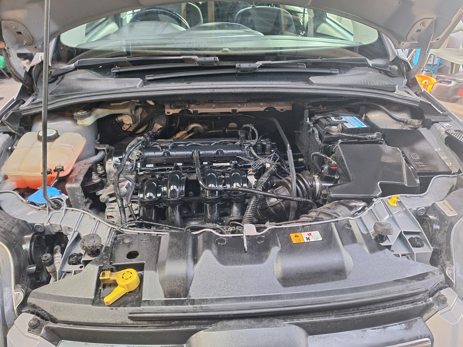 Used Ford Focus 2011 for sale - 77460841: Photo 16