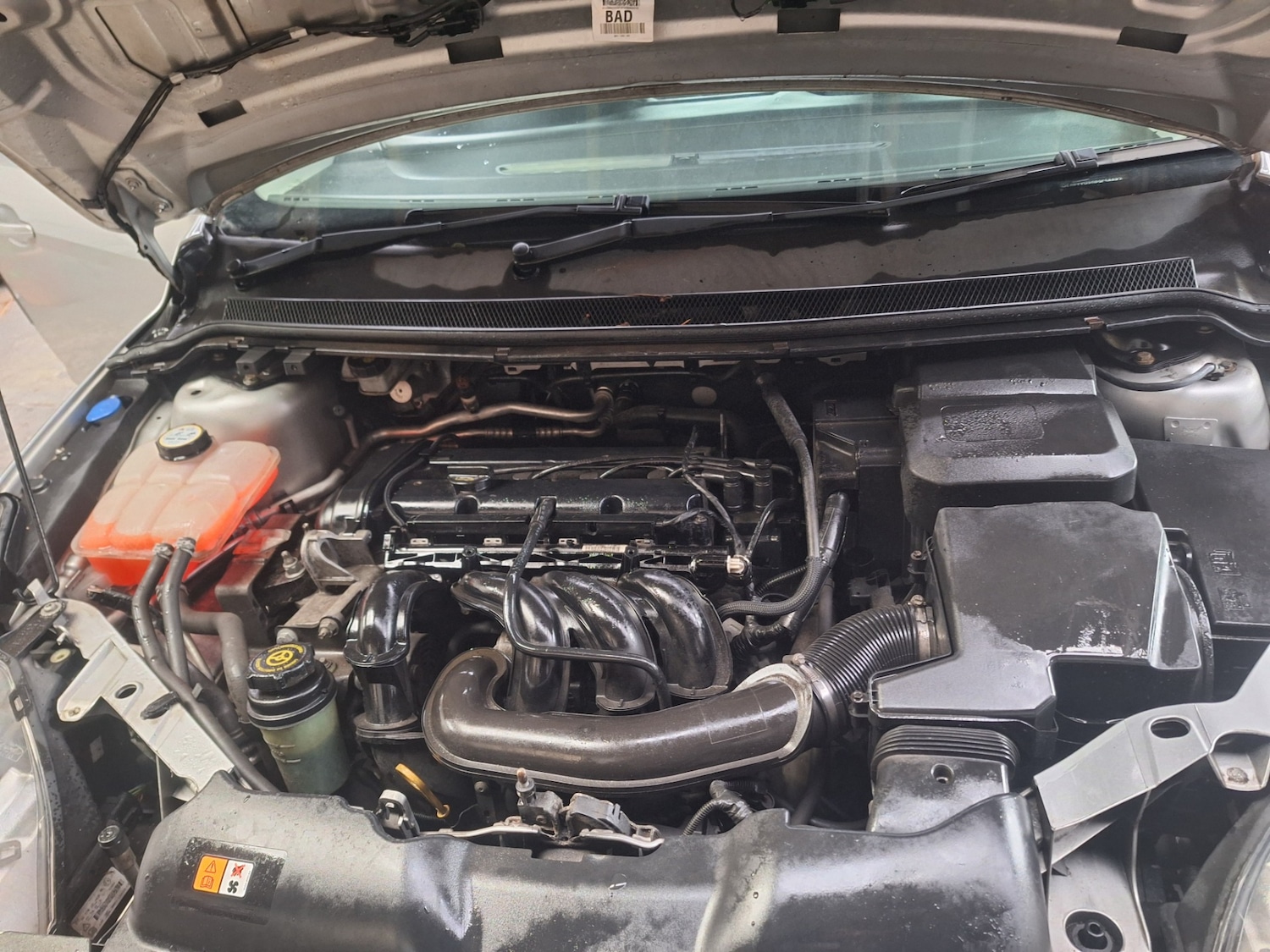 Used Ford Focus 2009 for sale - 77460835: Photo 5