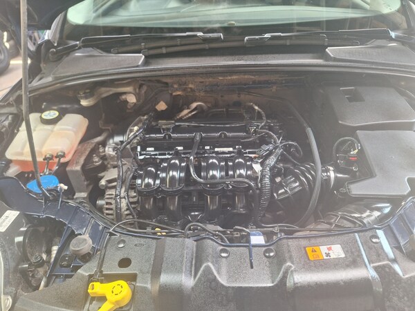 Used Ford Focus 2011 for sale - 75595455: Photo 20