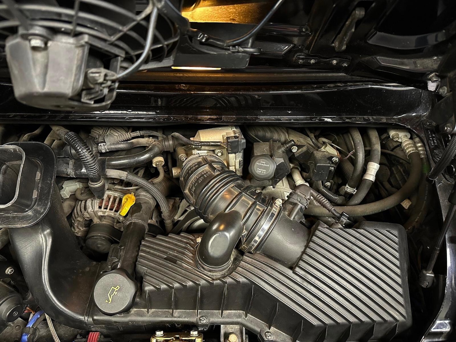 Used Porsche 911 2004 for sale - 76349371: Photo 21