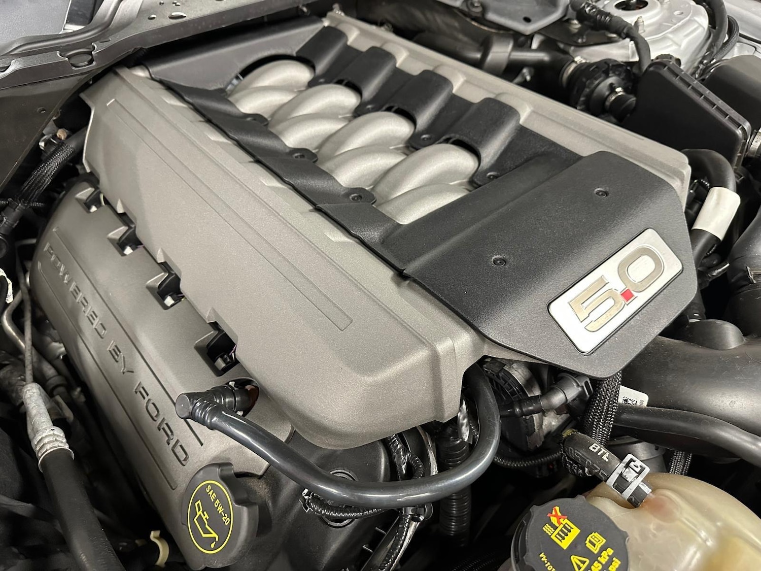 Used Ford Mustang 2017 for sale - 77425168: Photo 13