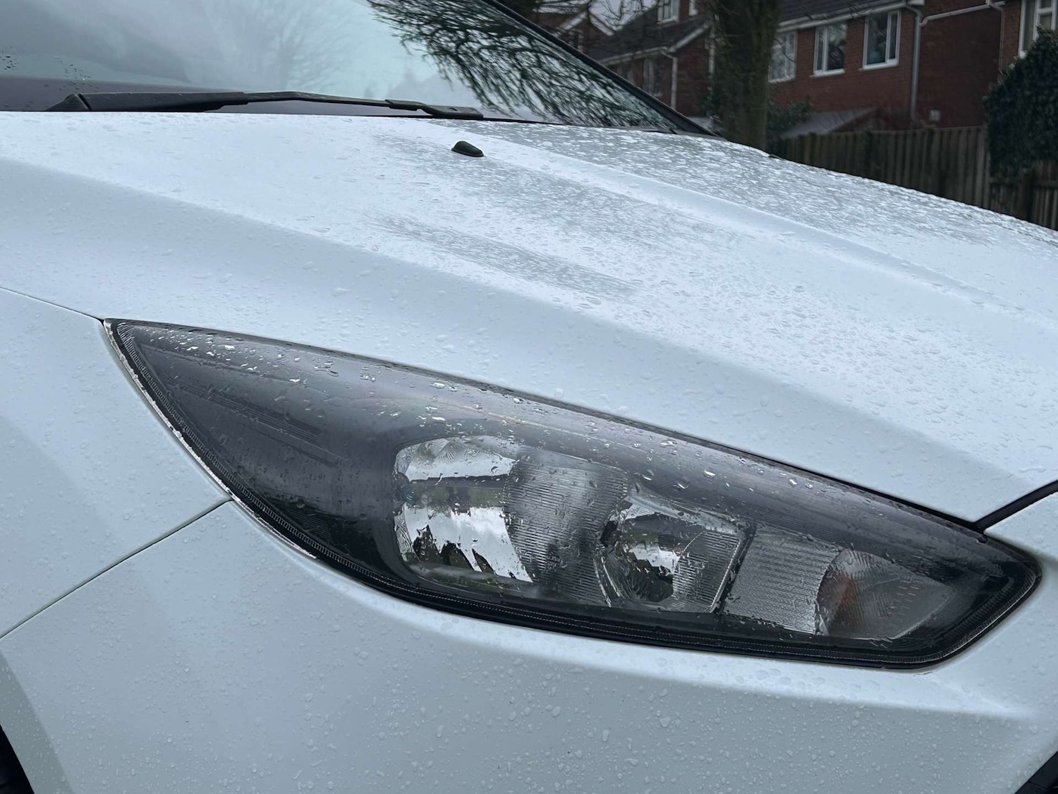 Used Ford Focus 2015 for sale - 77693777: Photo 10