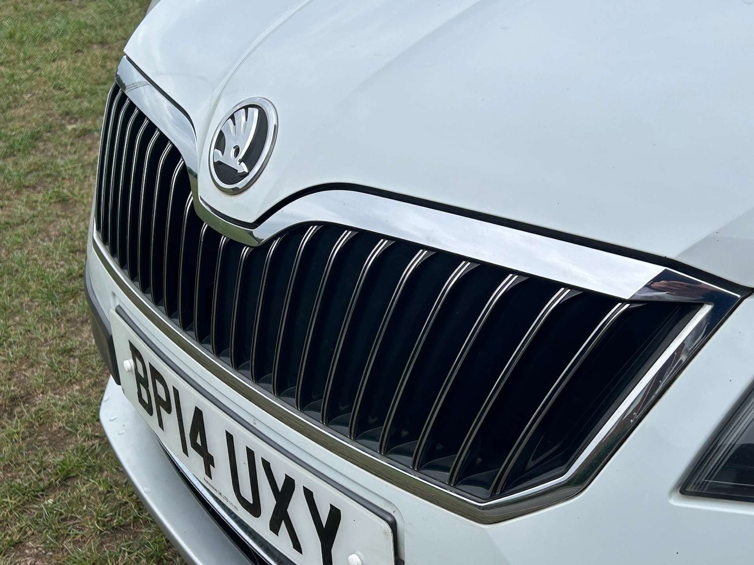 Used Skoda Superb 2014 for sale - 76363632: Photo 11