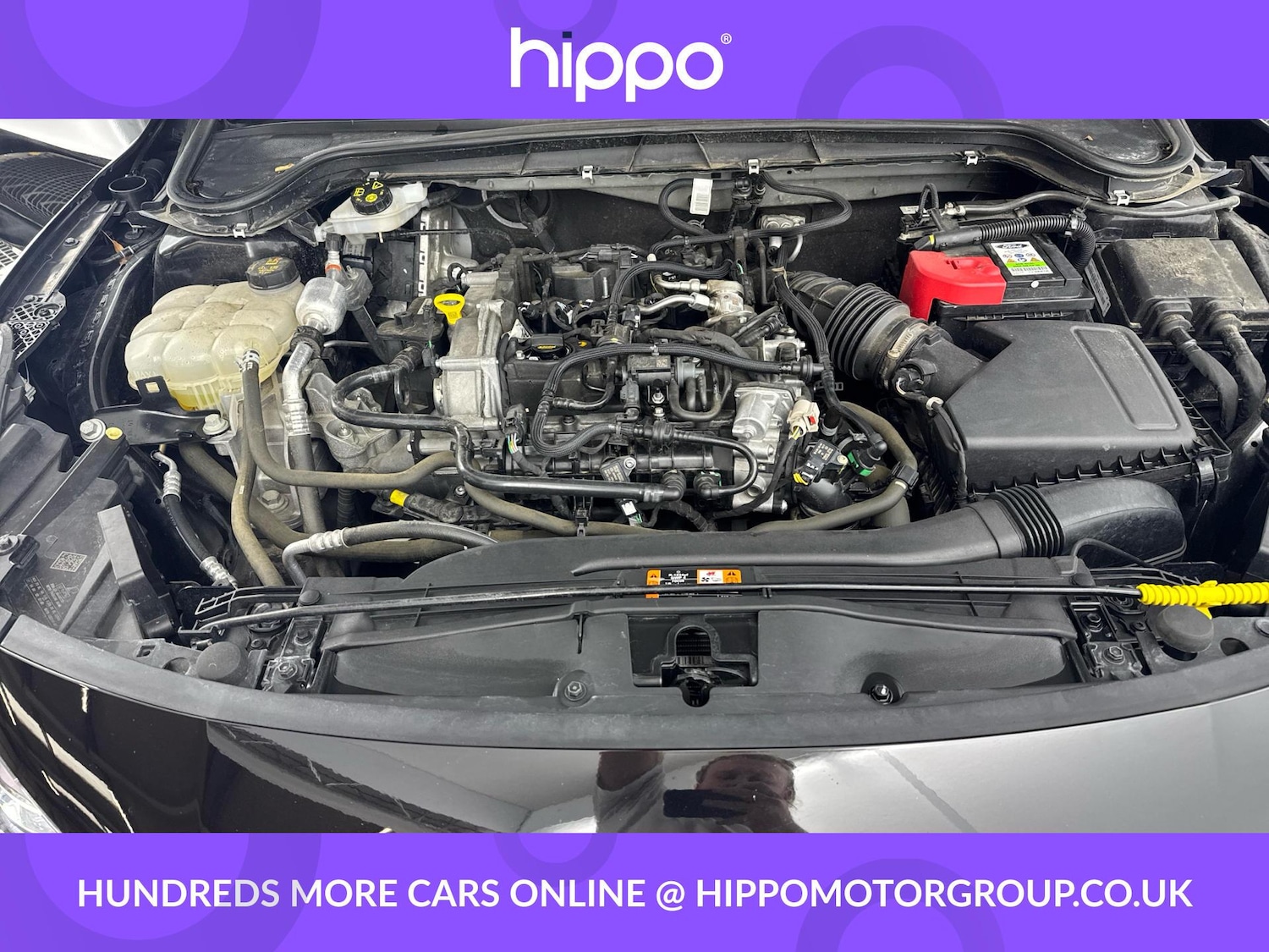 Used Ford Focus 2023 for sale - 76913593: Photo 29