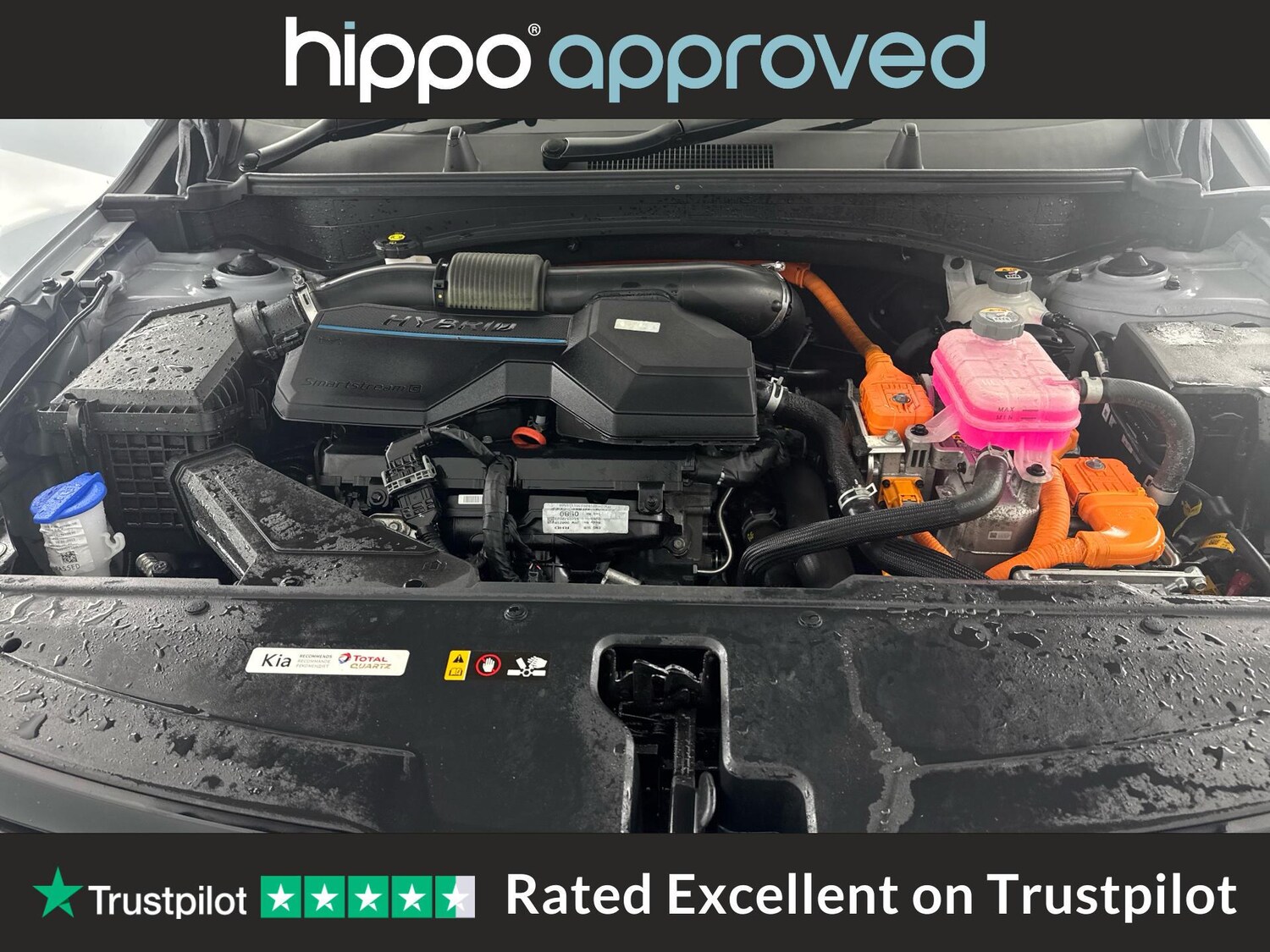 Used Kia Sportage 2023 for sale - 76658001: Photo 32