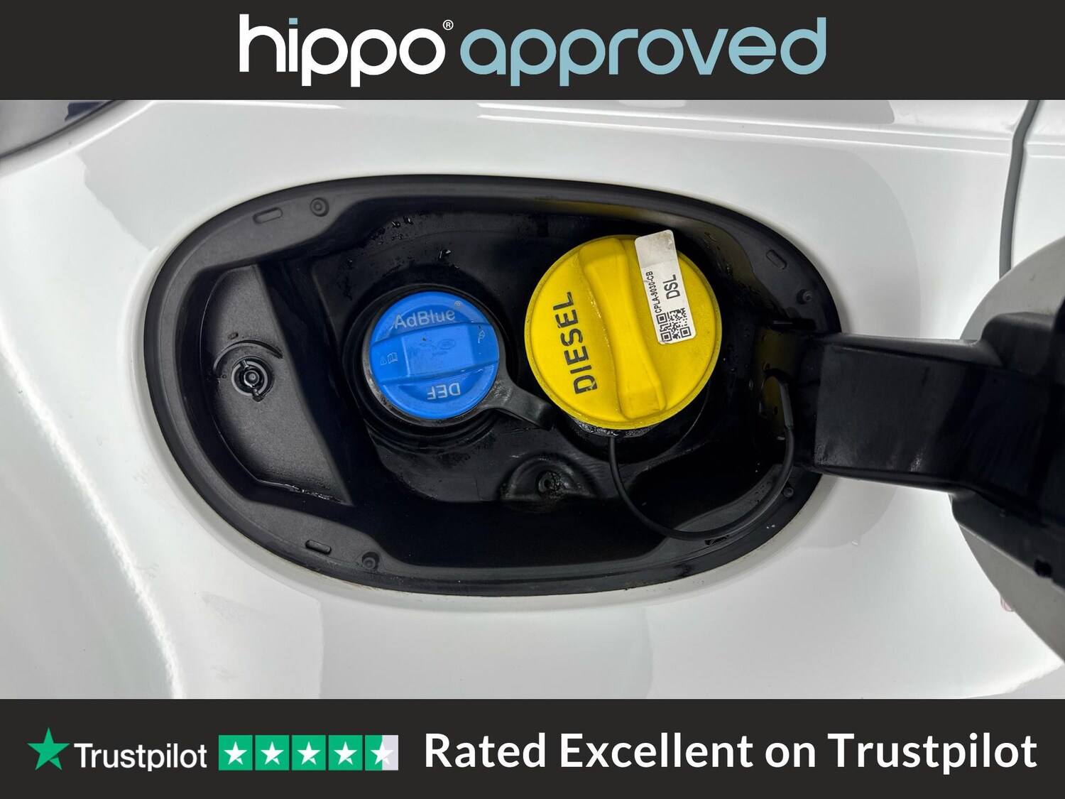 Used Land Rover Range Rover Evoque for sale - 76659104: Photo 25