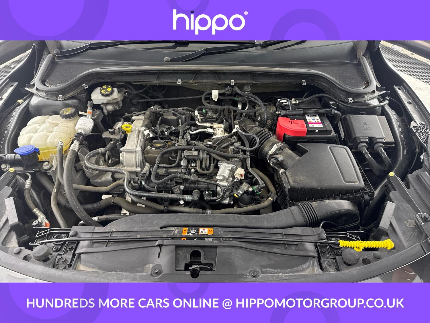 Used Ford Focus 2023 for sale - 76658098: Photo 28