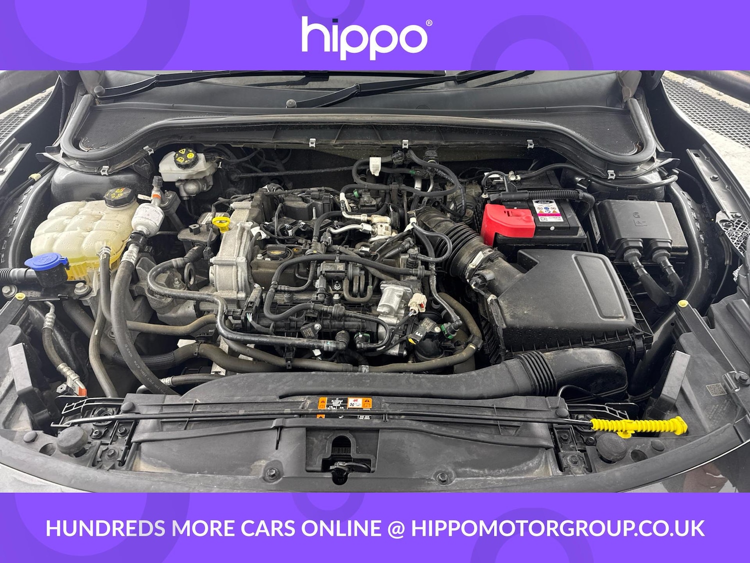 Used Ford Focus 2023 for sale - 77440233: Photo 28