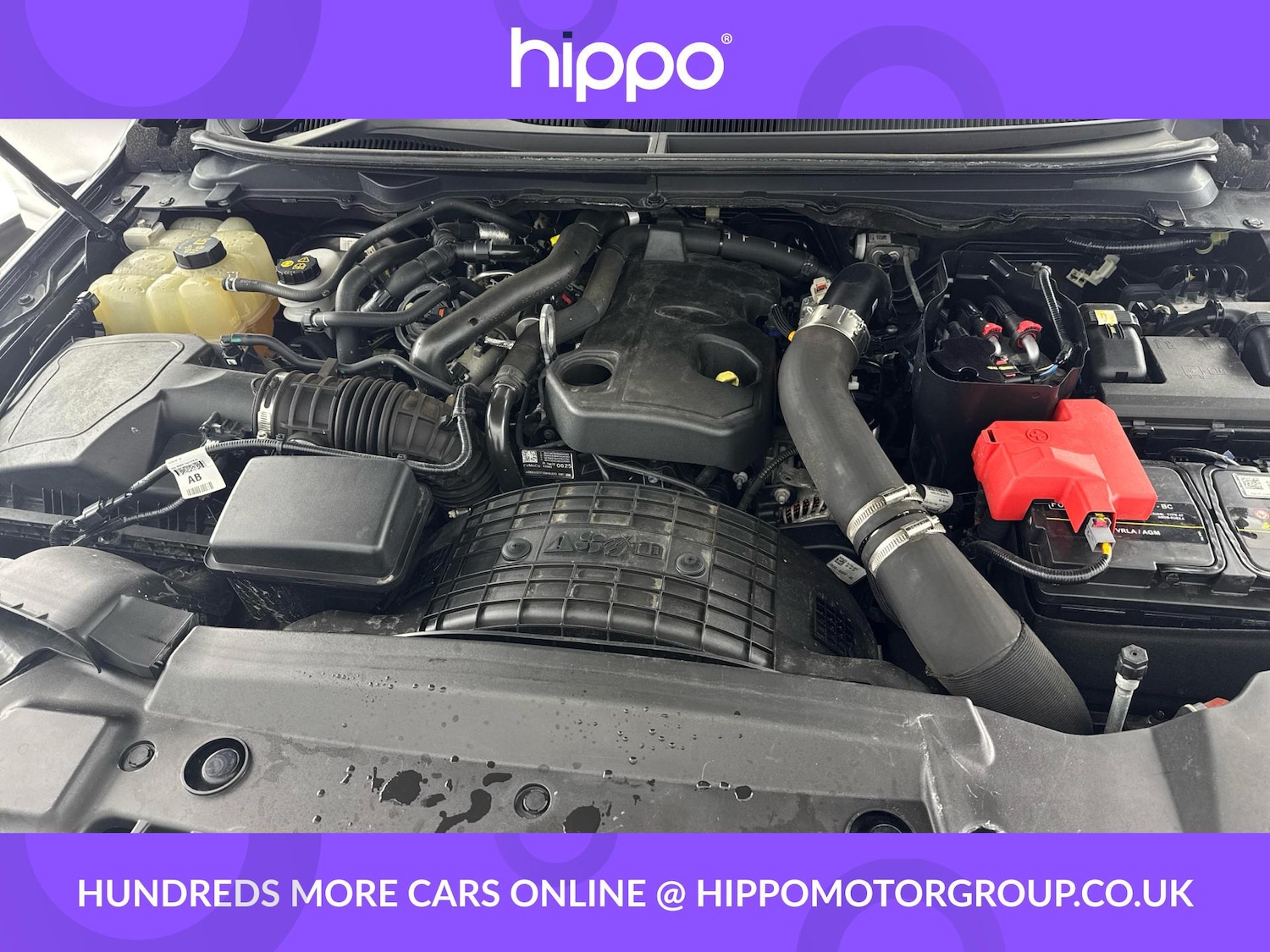 Used Ford Ranger 2023 for sale - 77131829: Photo 30