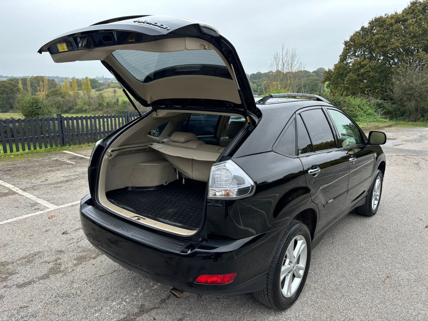 Used Lexus RX 2009 for sale - 76756981: Photo 10