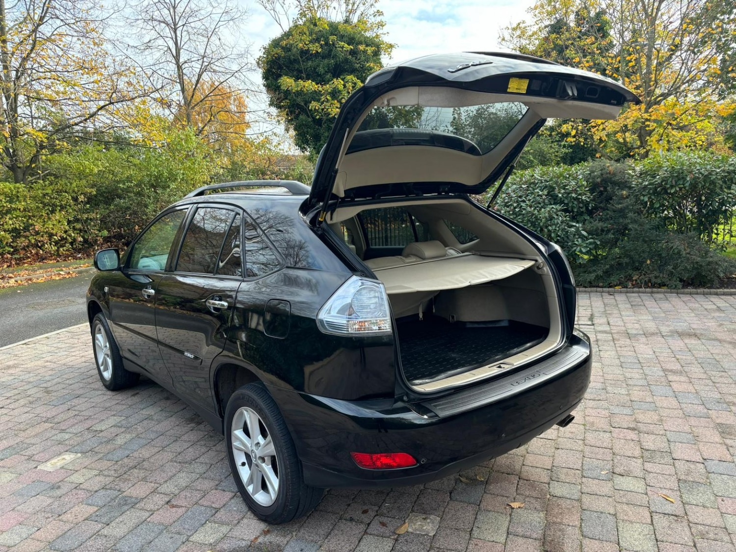 Used Lexus RX 2009 for sale - 76756981: Photo 12