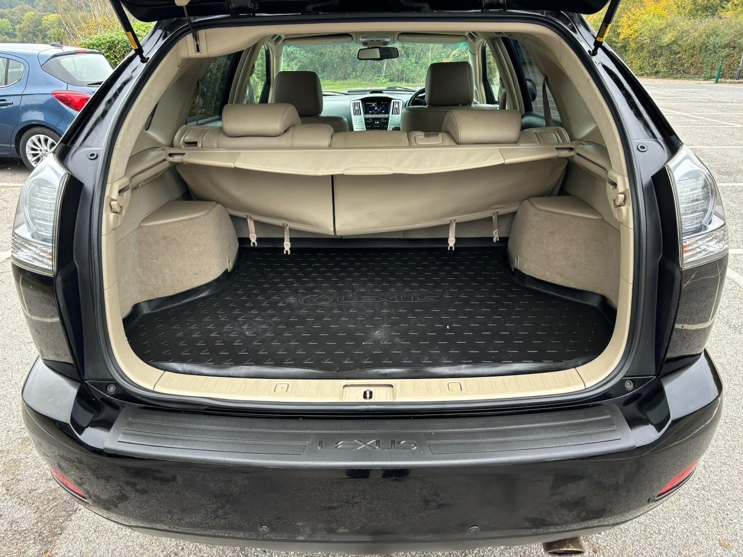 Used Lexus RX 2009 for sale - 76756981: Photo 19