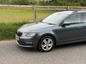 Used Skoda Octavia 2019 for sale - 78524466: Photo