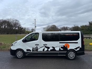 Used Renault Trafic 2016 for sale - 78918724: Photo