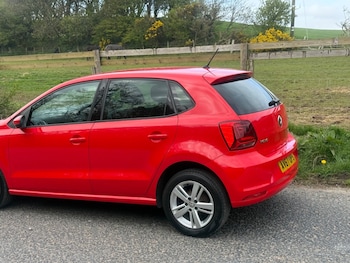 Used Volkswagen Polo 2017 for sale - 78227130: Photo