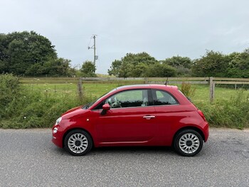 Used Fiat 500 2016 for sale - 79113842: Photo