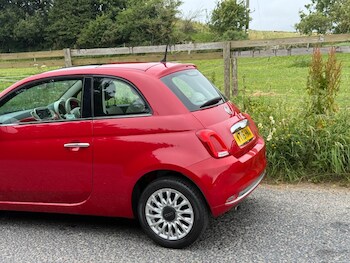 Used Fiat 500 2016 for sale - 79113842: Photo