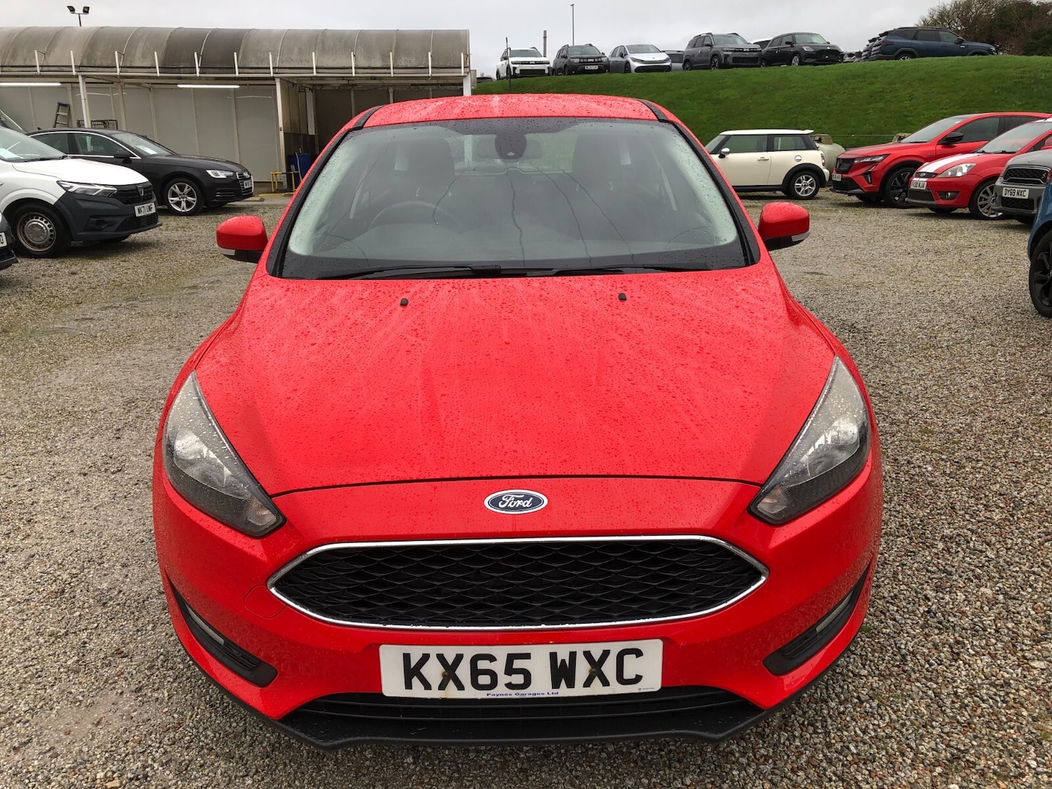 Used Ford Focus 2015 for sale - 76479643: Photo 7
