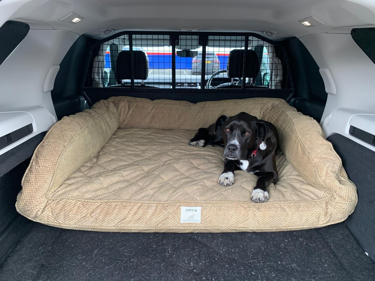 Used Land Rover Discovery 2019 for sale - 77393623: Photo 12