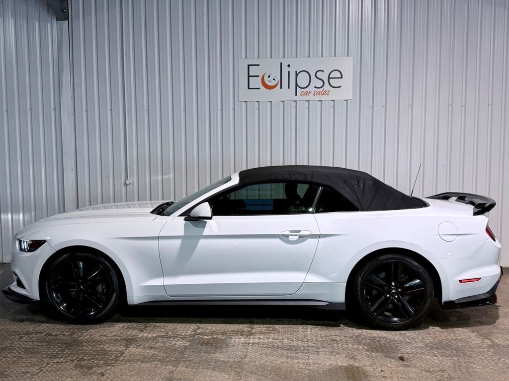 Used Ford Mustang 2015 for sale - 77779820: Photo 13
