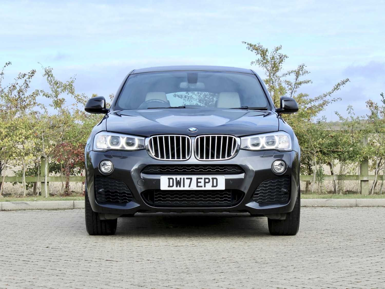 Used BMW X4 2017 for sale - 76605719: Photo 8