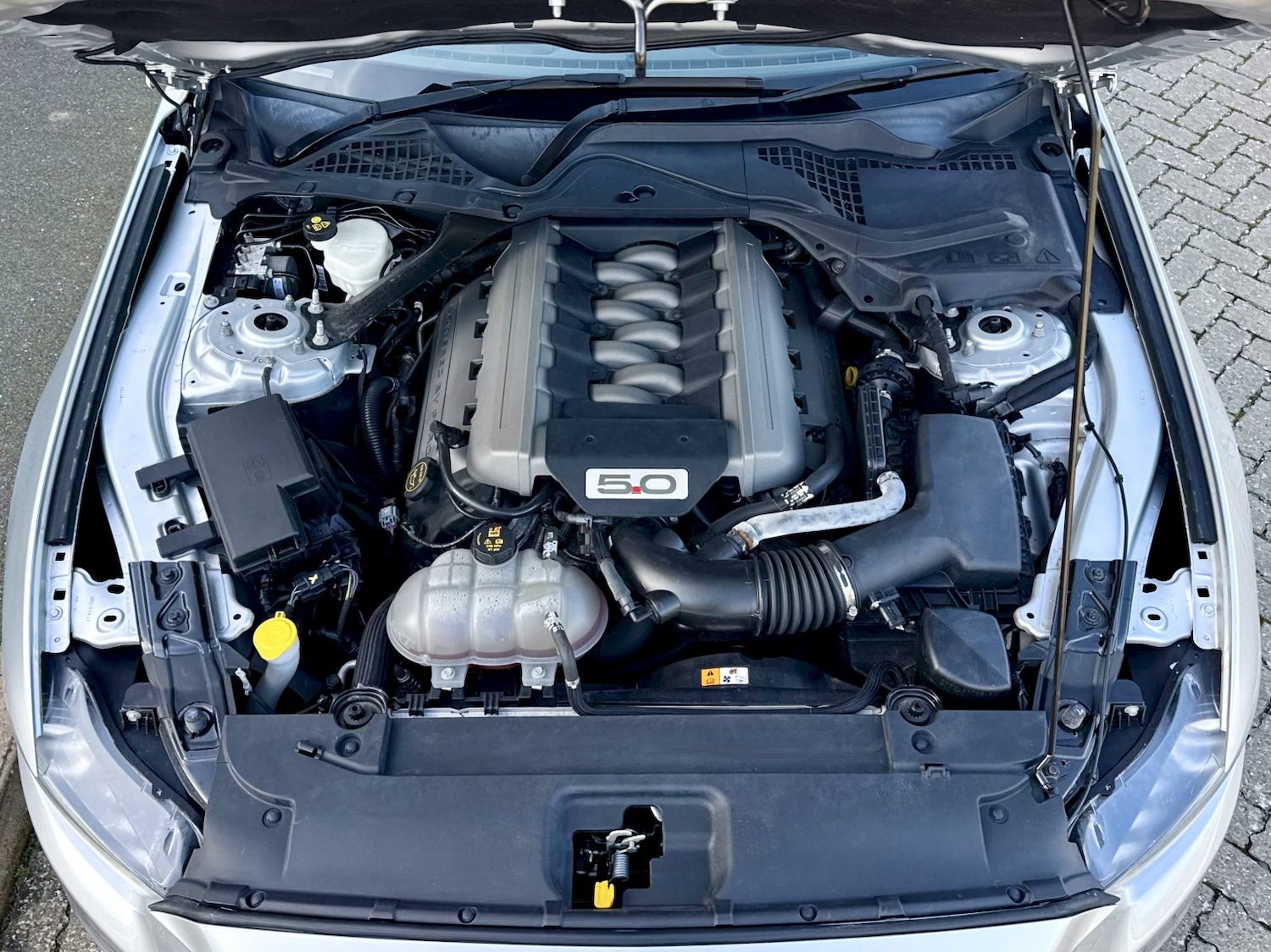 Used Ford Mustang 2019 for sale - 77915731: Photo 17