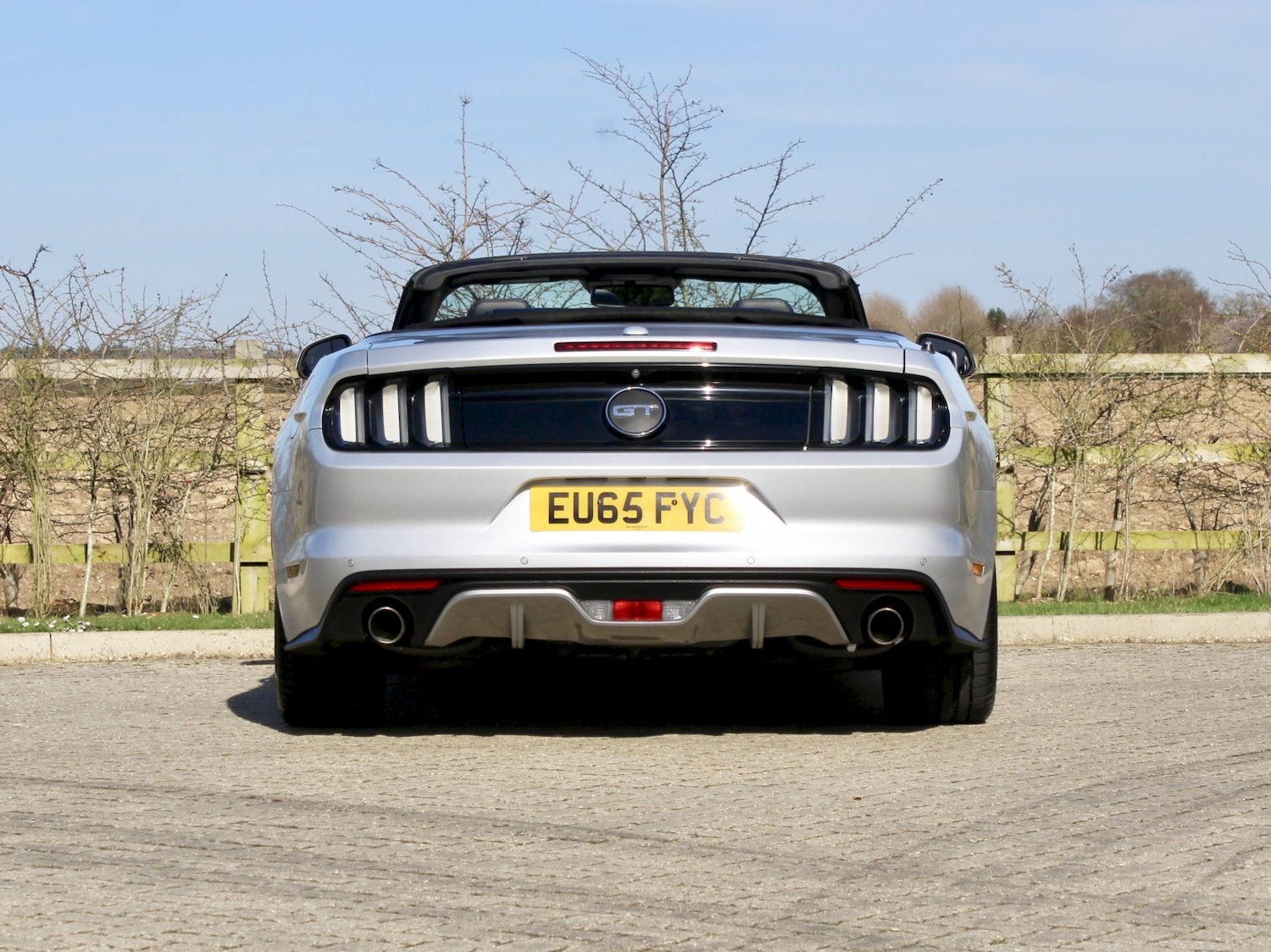 Used Ford Mustang 2019 for sale - 77915731: Photo 5