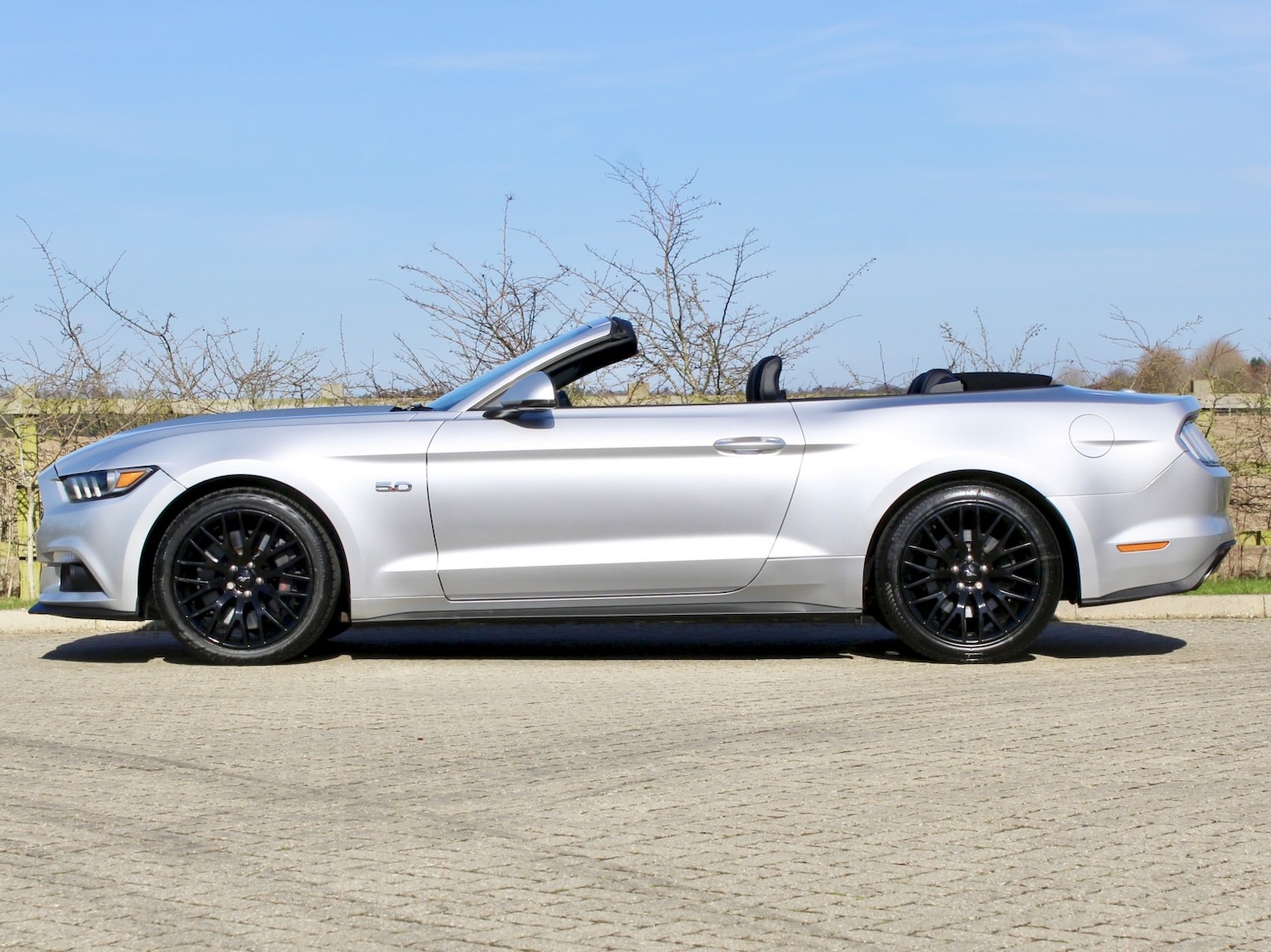 Used Ford Mustang 2019 for sale - 77915731: Photo 7