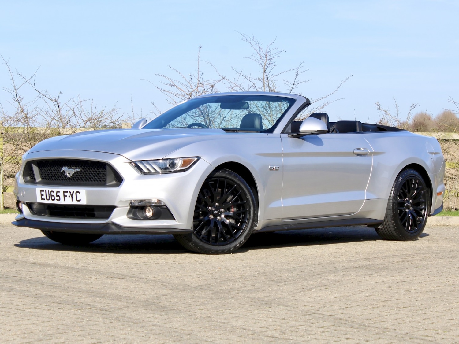 Used Ford Mustang 2019 for sale - 77915731: Photo 8