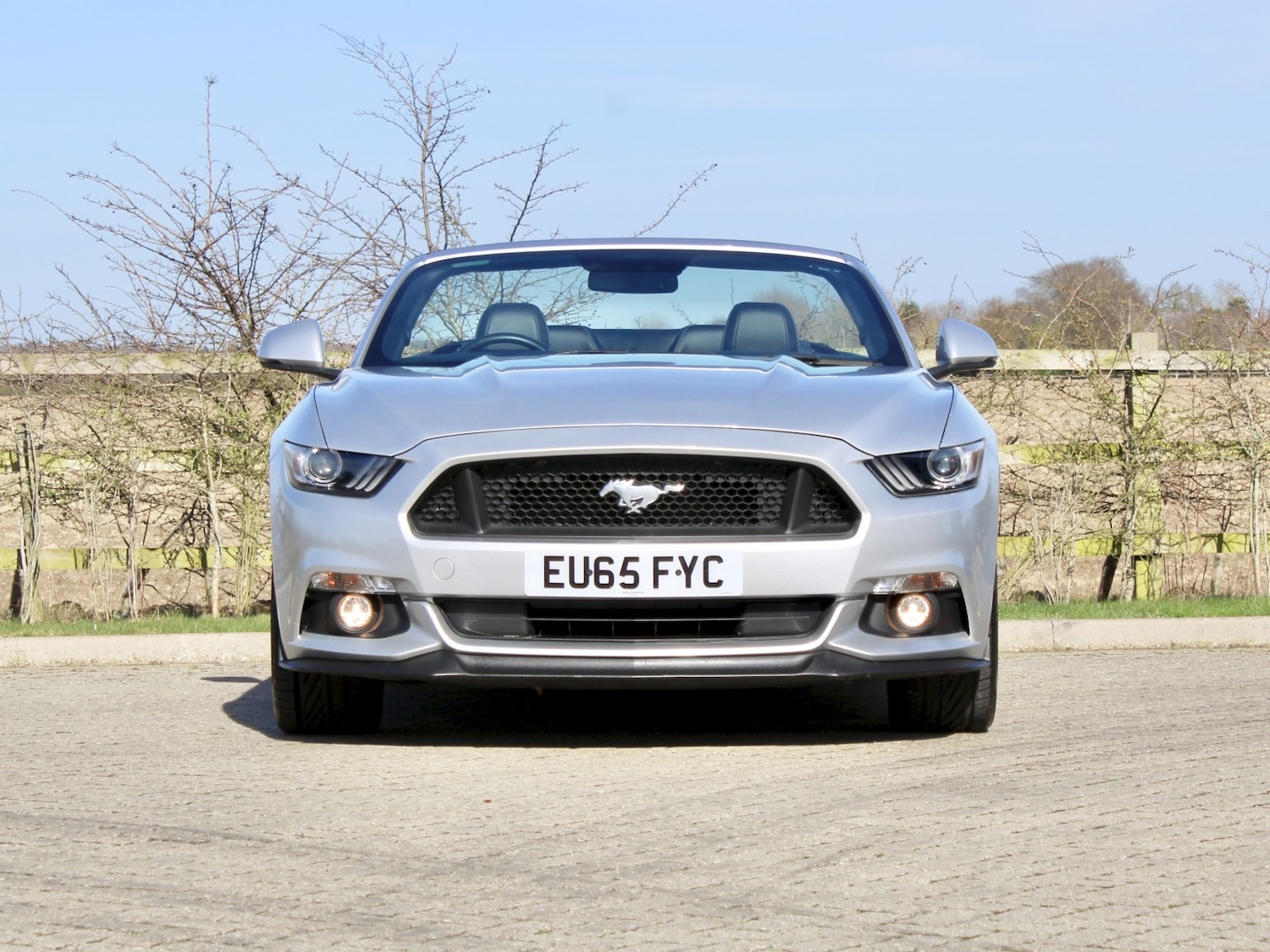 Used Ford Mustang 2019 for sale - 77915731: Photo 9