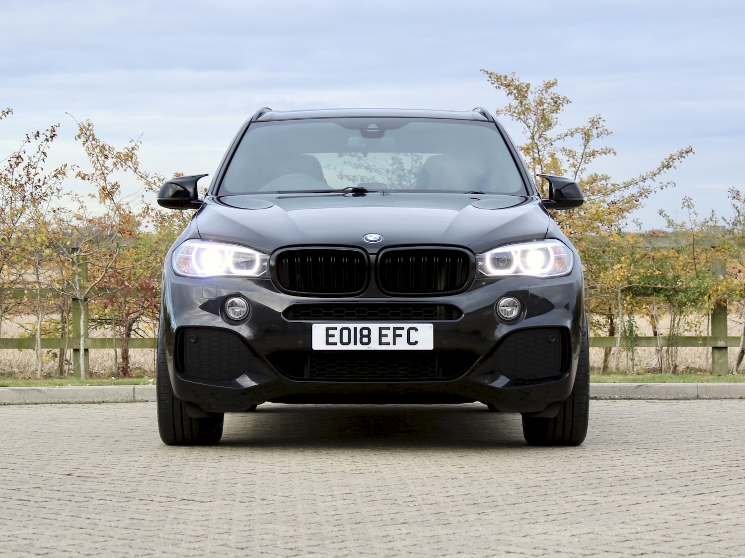 Used BMW X5 2018 for sale - 76605687: Photo 8