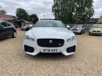 Used Jaguar XF 2016 for sale - 79280018: Photo