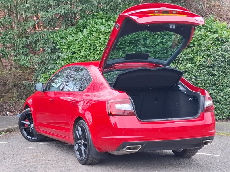 Used Skoda Octavia 2019 for sale - 78033222: Photo 18