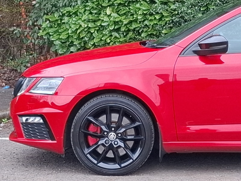 Used Skoda Octavia 2019 for sale - 78033222: Photo 19