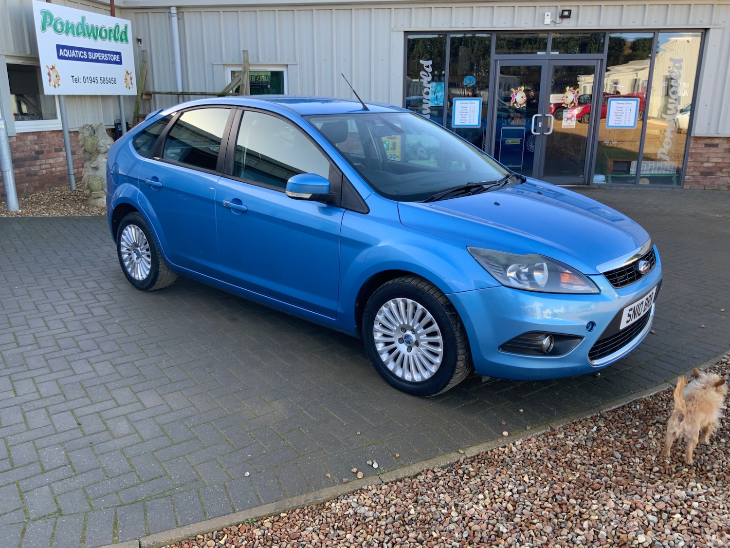 Used Ford Focus 2010 for sale - 76736477: Photo 3