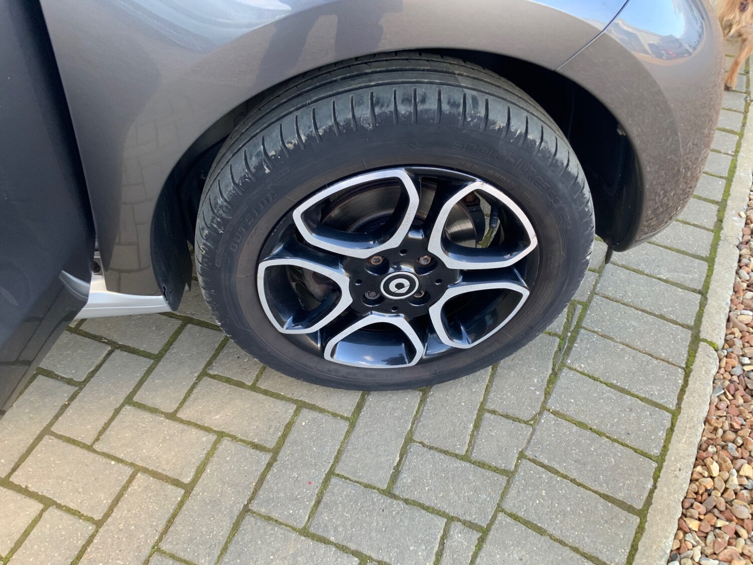 Used smart forfour 2015 for sale - 77818197: Photo 20