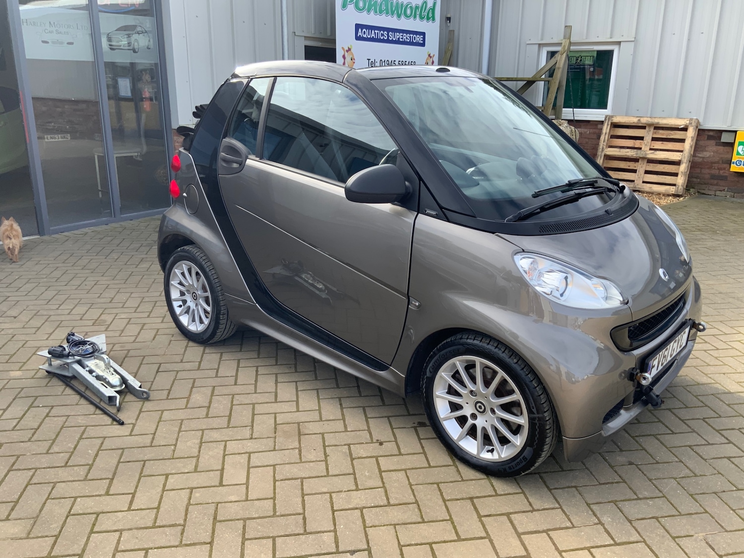 Used smart fortwo 2011 for sale - 77729976: Photo 11
