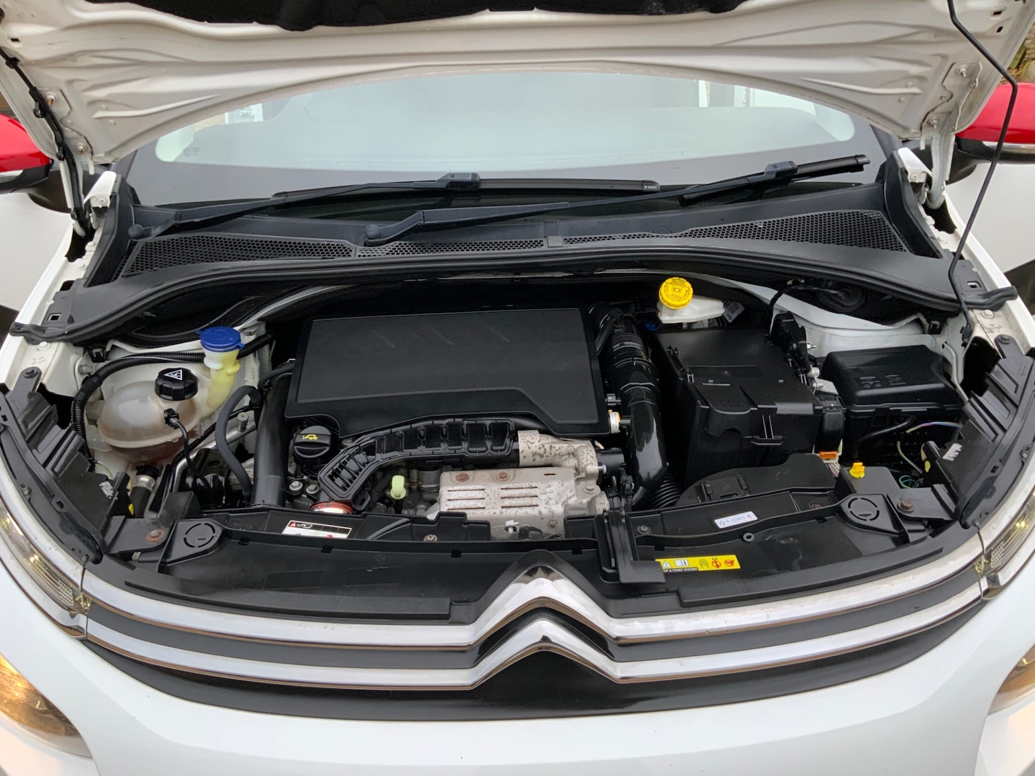 Used Citroen C3 2019 for sale - 76720367: Photo 21