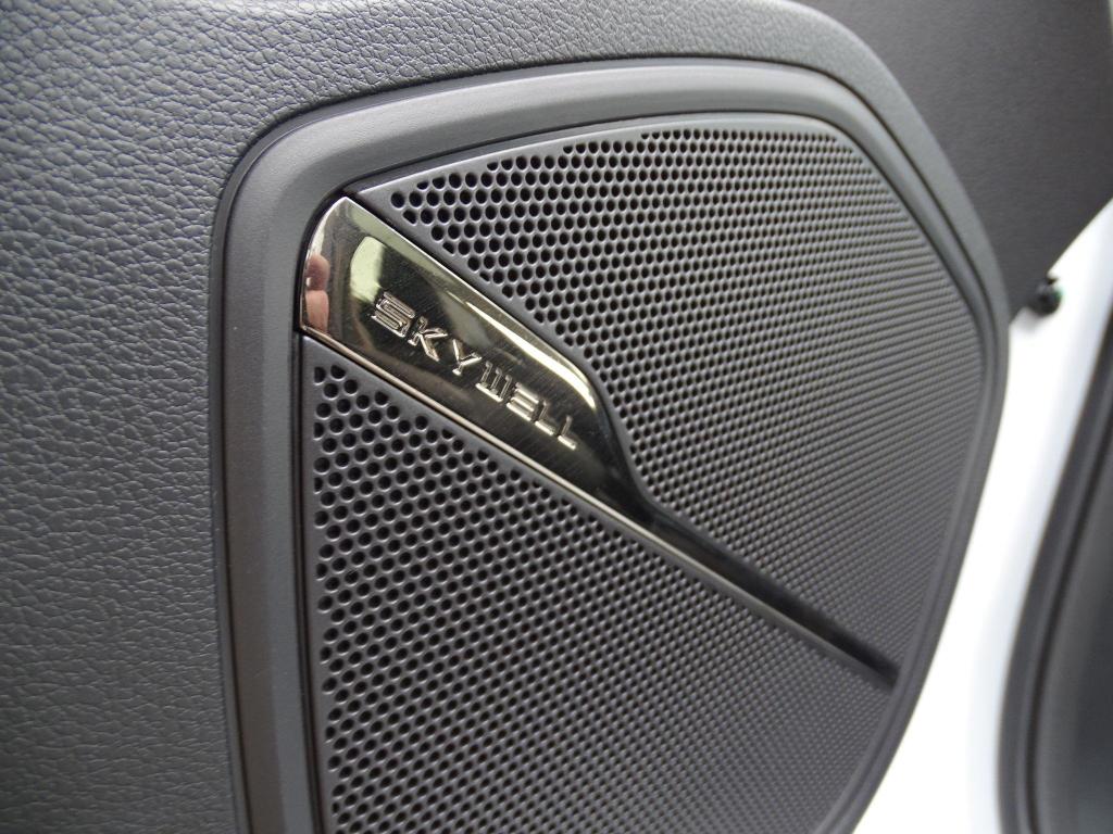 Used Skywell BE11 2025 for sale - 77045452: Photo 23