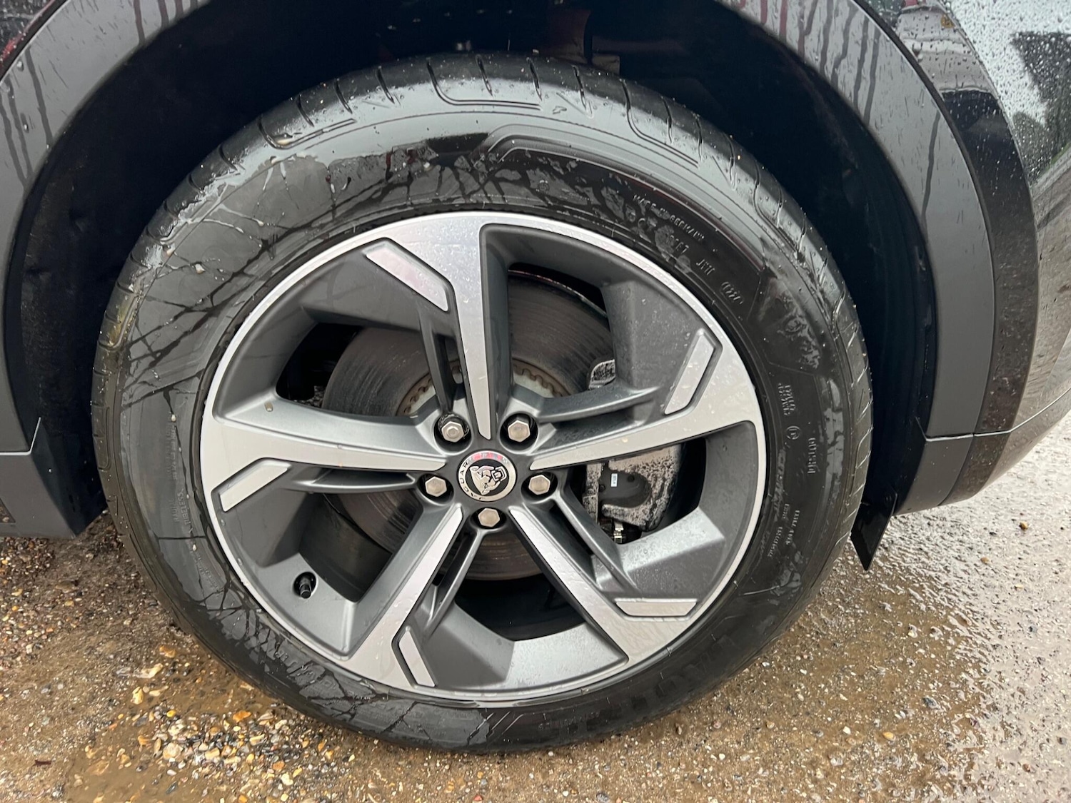 Used Jaguar E-Pace 2024 for sale - 77306065: Photo 85