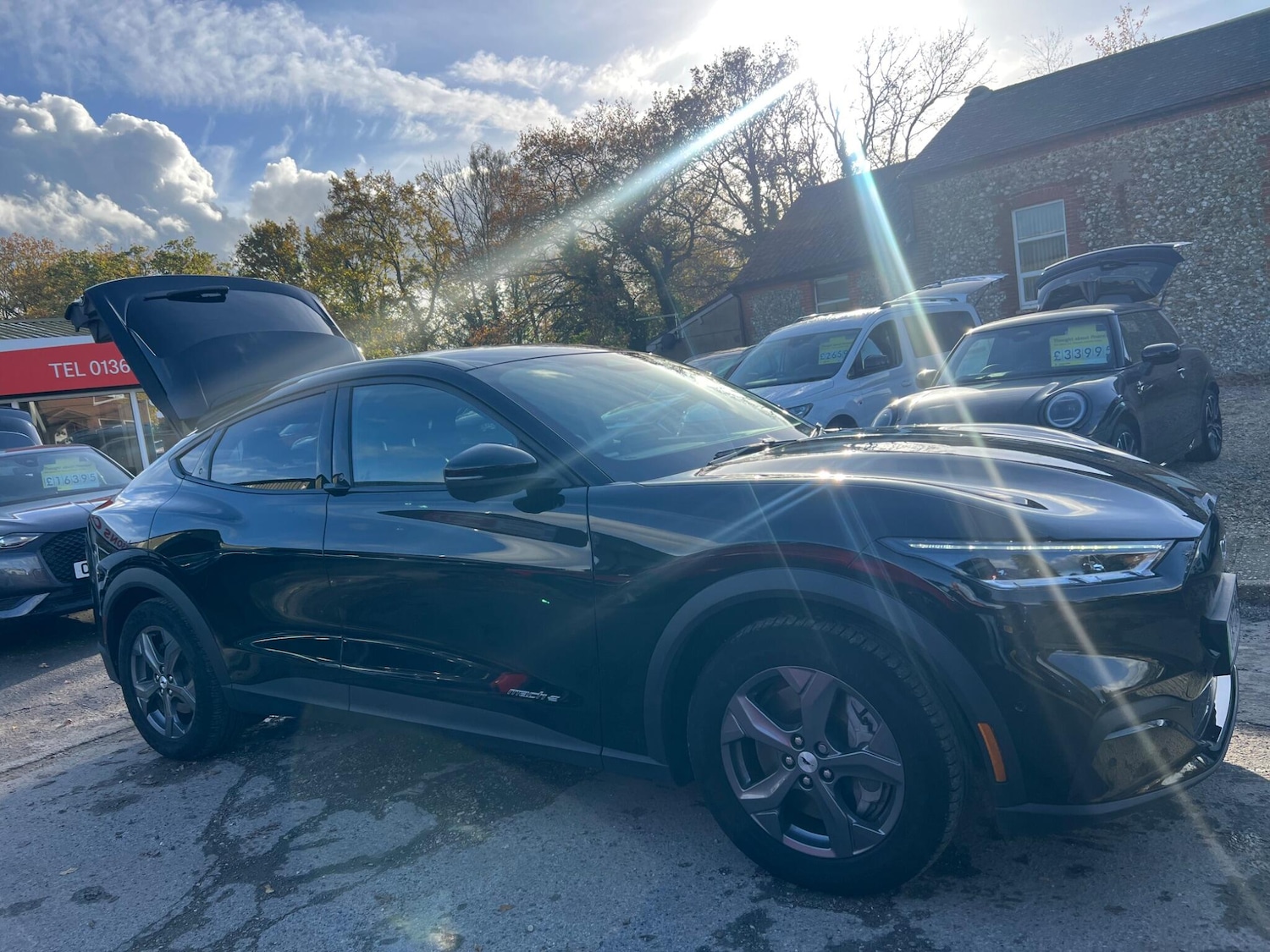 Used Ford Mustang Mach-E 2023 for sale - 76472672: Photo 100