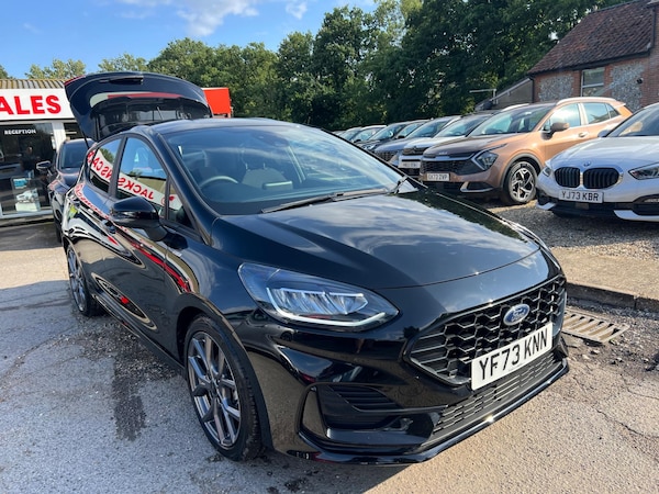 Used Ford Fiesta 2024 for sale - 75448662: Photo 14
