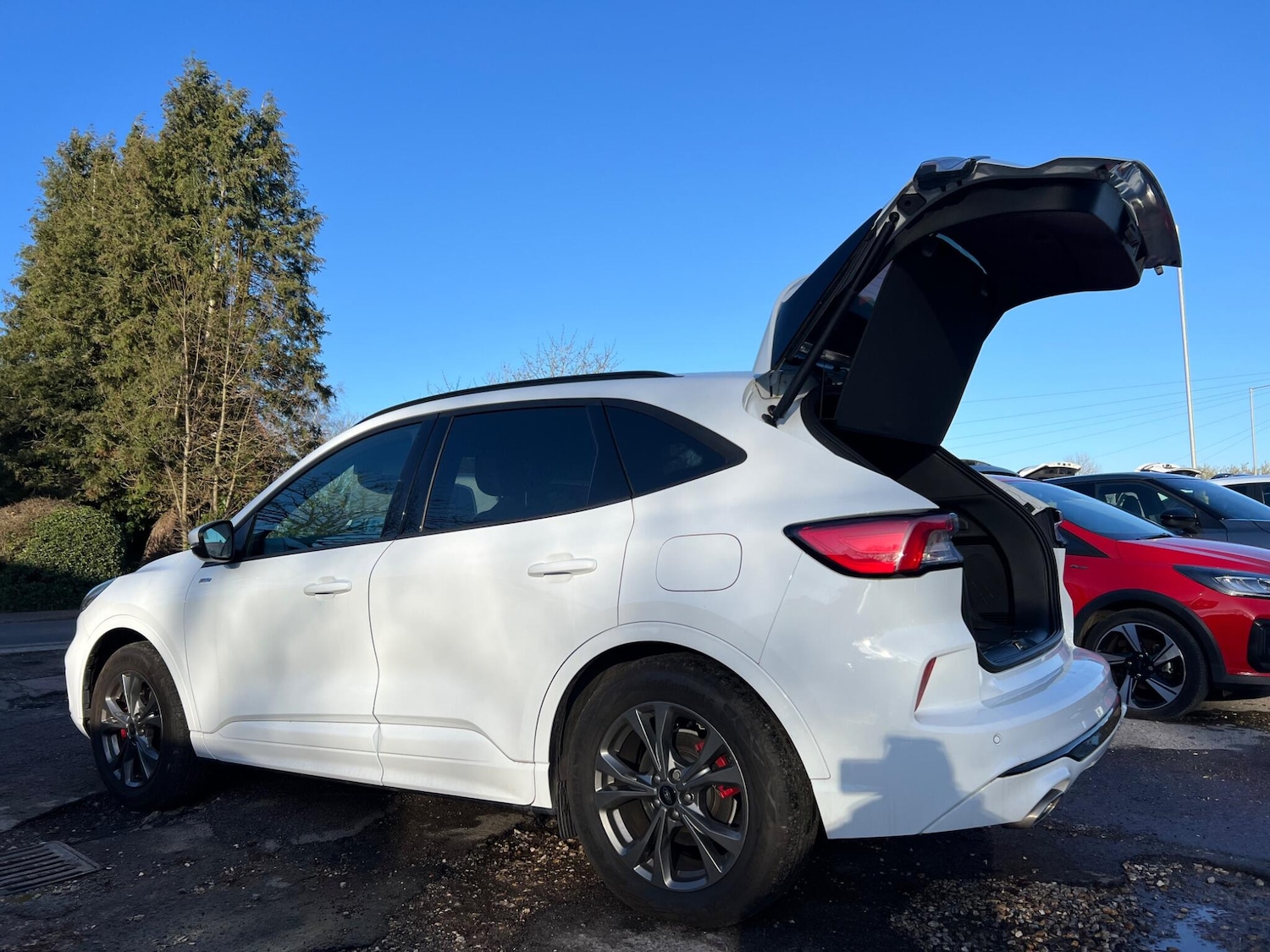 Used Ford Kuga 2023 for sale - 76771765: Photo 8