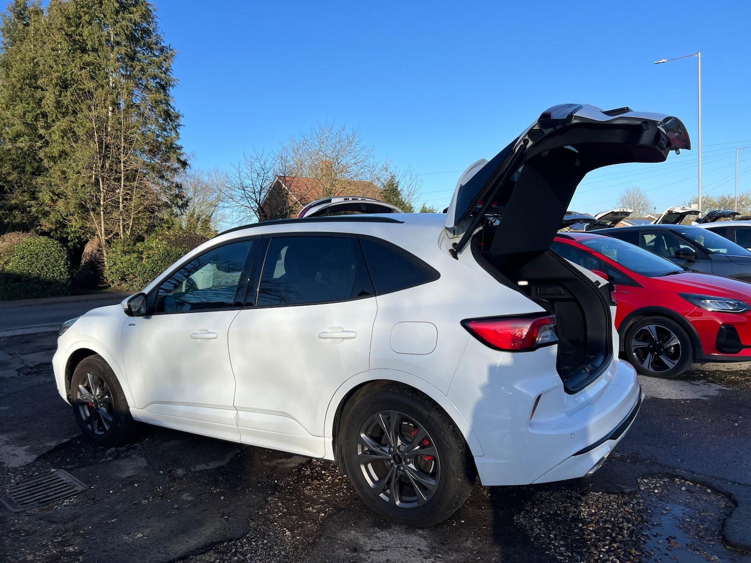 Used Ford Kuga 2023 for sale - 76771765: Photo 9