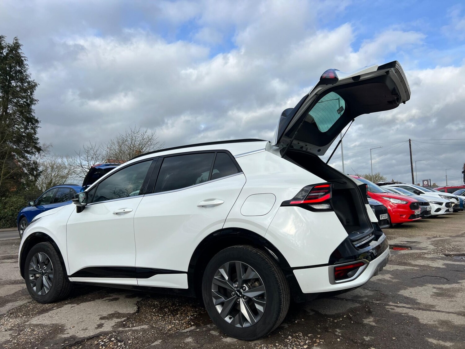 Used Kia Sportage 2025 for sale - 77625328: Photo 19