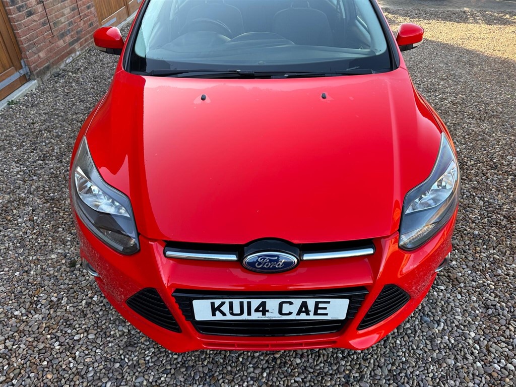 Used Ford Focus 2014 for sale - 76696714: Photo 8