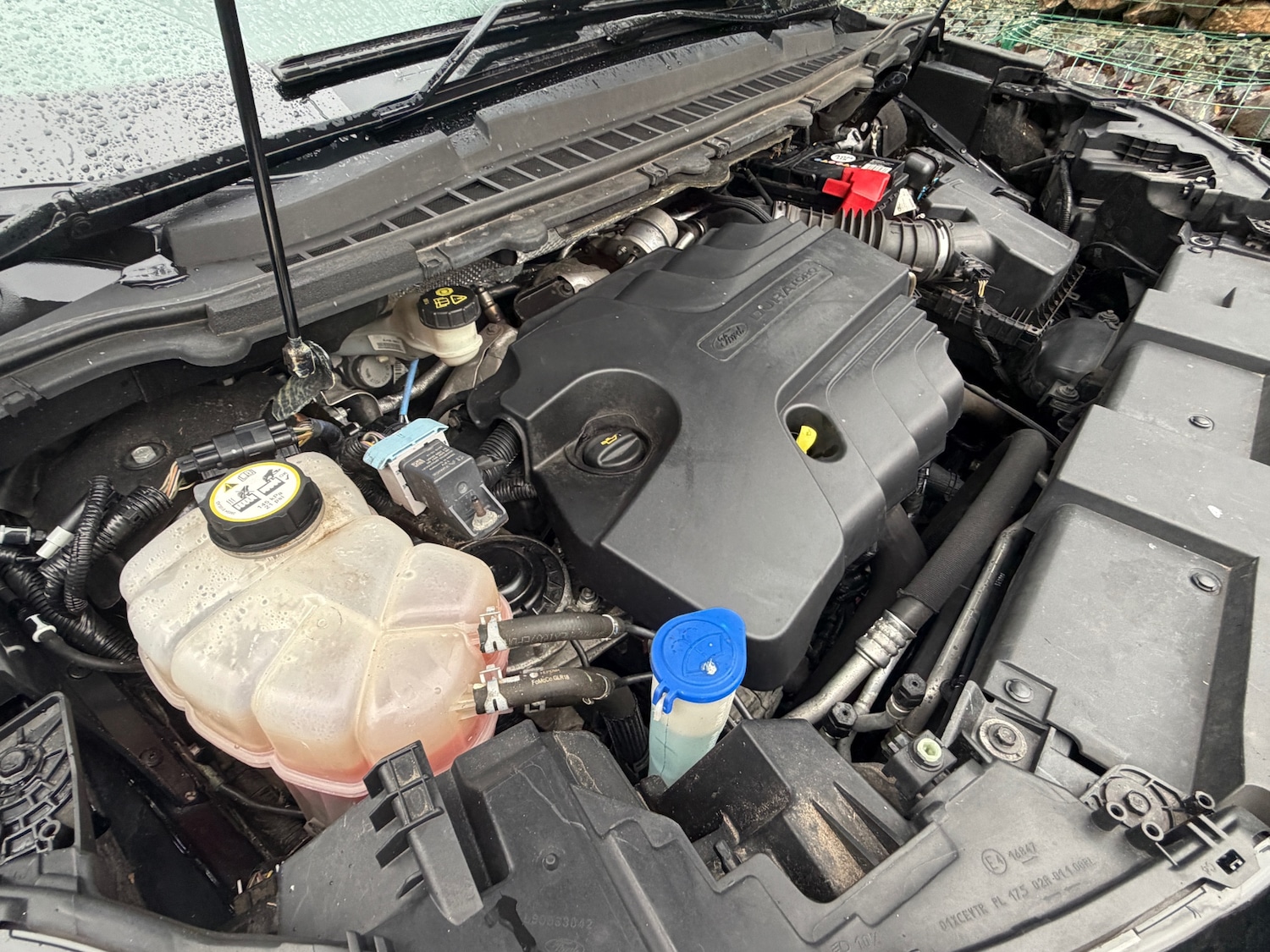 Used Ford Edge 2017 for sale - 76946014: Photo 15