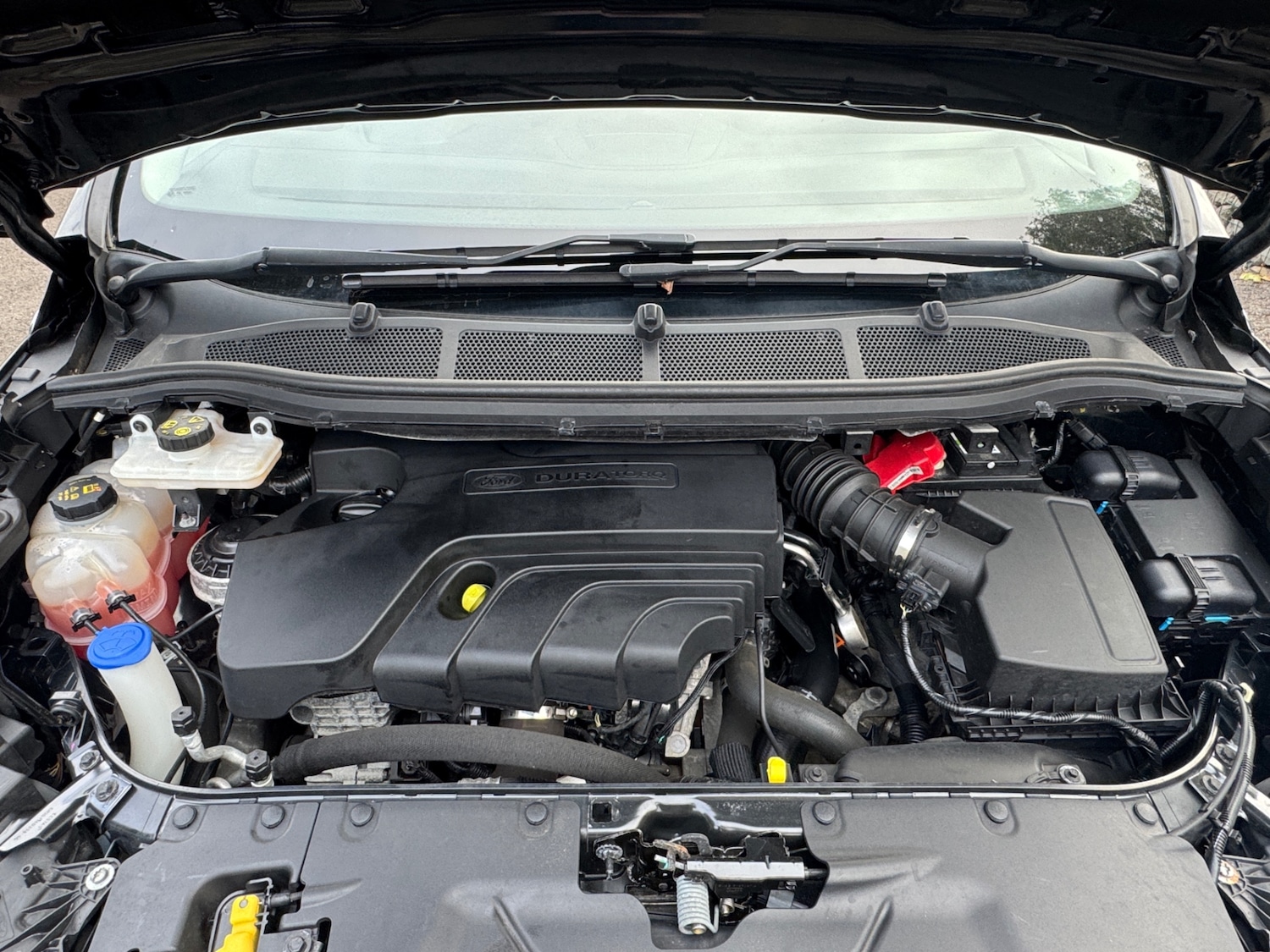 Vehicle 25