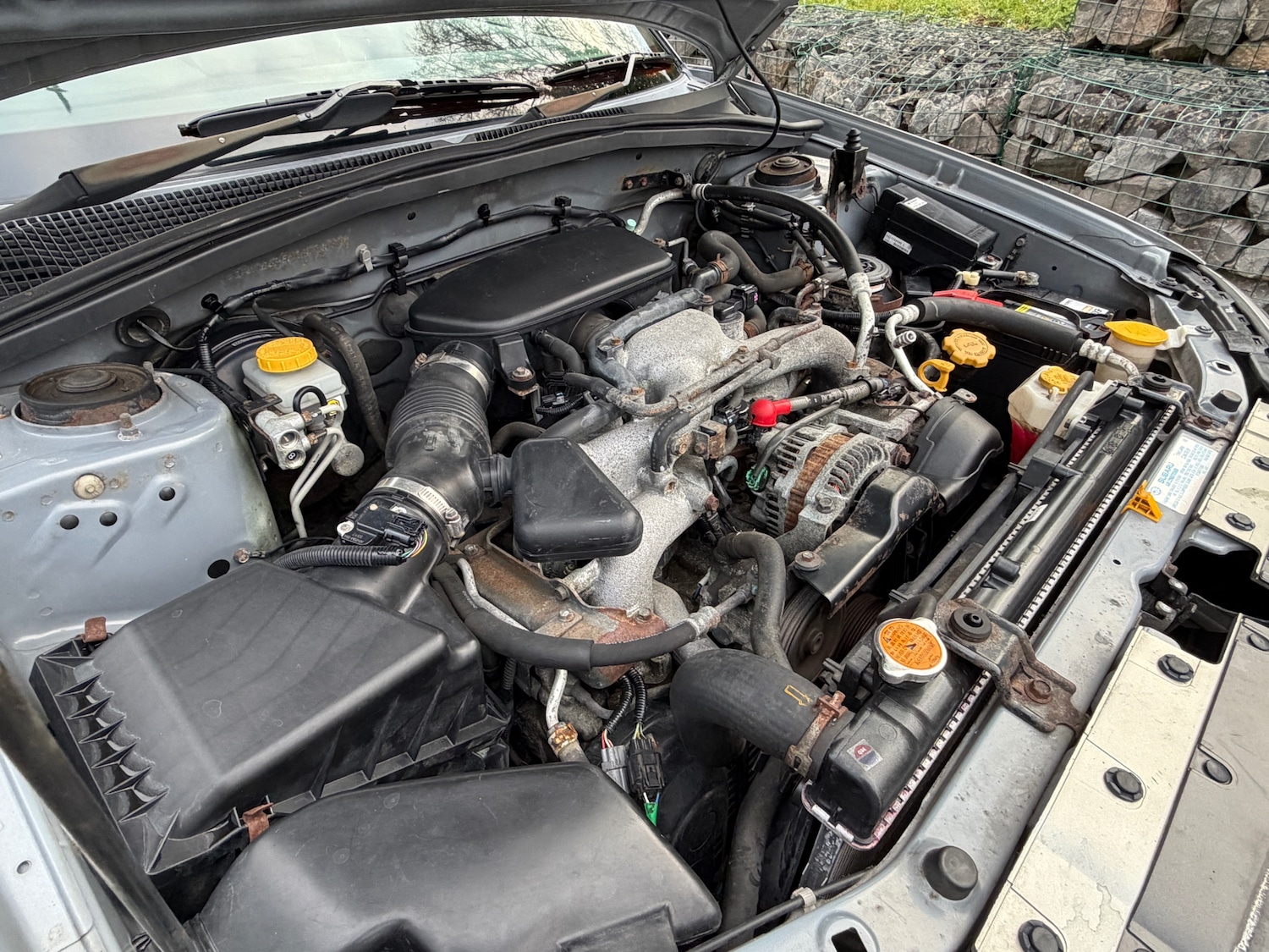 Used Subaru Forester 2006 for sale - 78112004: Photo 15