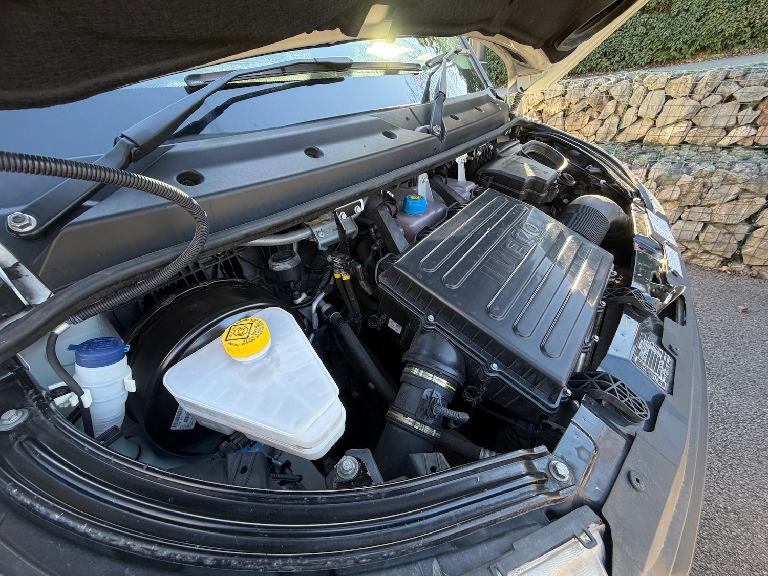 Used Iveco Daily 2019 for sale - 77945475: Photo 15